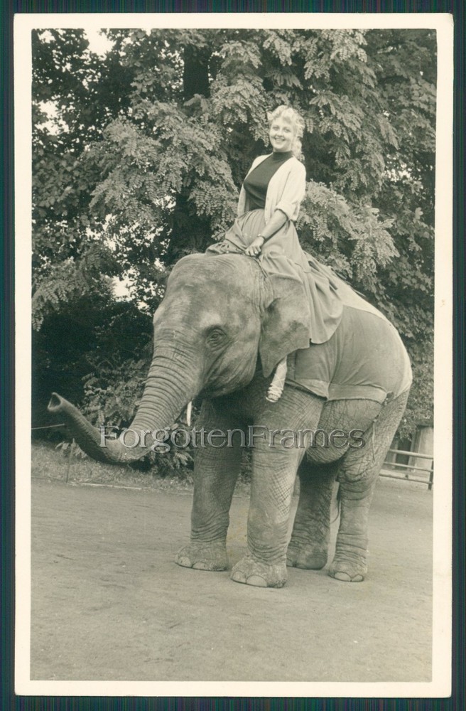 Photo Girl Riding Elephant GIRL RIDING ELEPHANT ZOO CIRCUS Photo