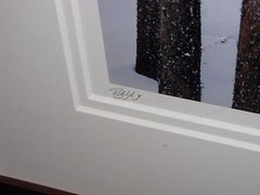 RODNEY LOUGH “The Eye Wanders” Yellowstone Photo 30×40 Signed SOLD OUT