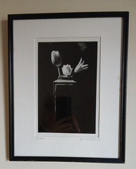 Framed Signed Dated PHOTOGRAPH Black & White Flowers/Vase 1989-14.75″H X 12″L