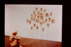 Vintage Art History 35mm Glass Slide Kiki Smith PEACOCK 1994