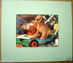 “Nosey Pup” Matted Photo-Copy of 1968 Calendar Art-American Life Insurance Co.