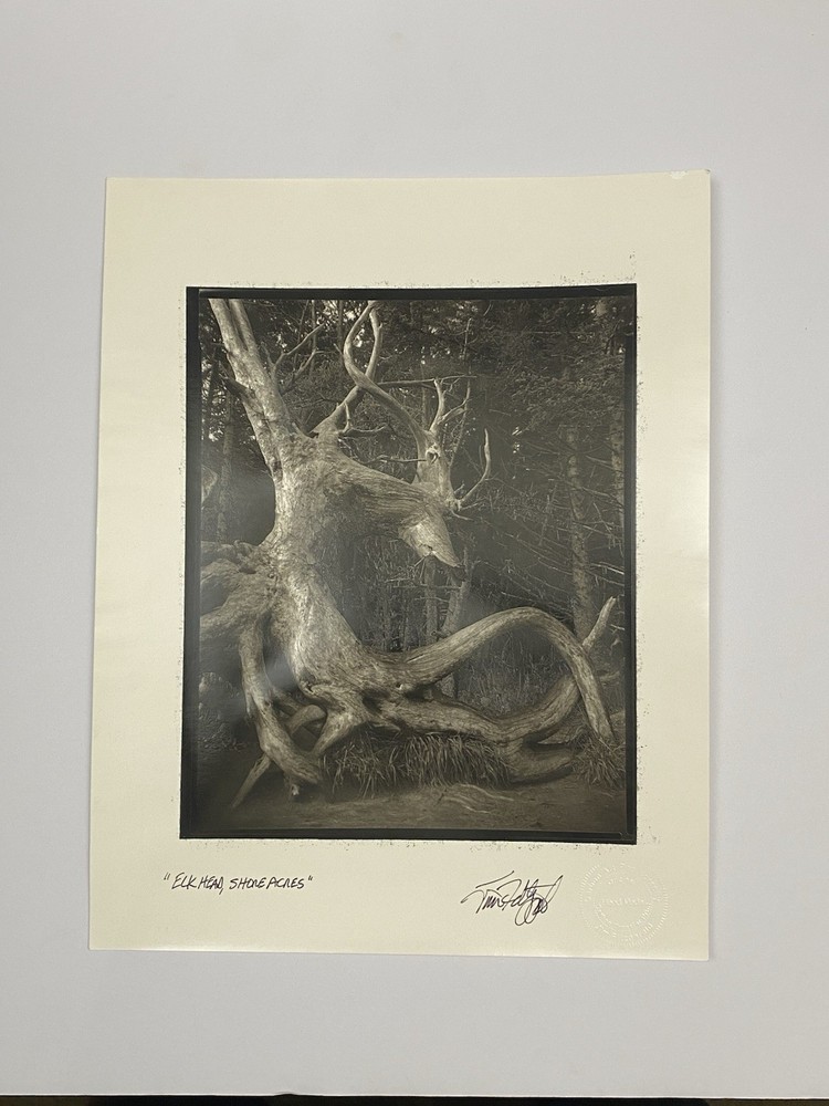 Jim Fitzgerald Elk Head Shore Acres Signed Photograph Carbon Transfer