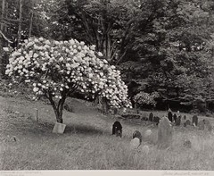Large Format B&W Photo Chandler Hill Cemetery Colrain MA by Charles Fendrock