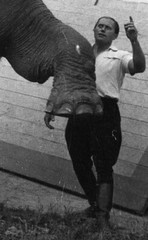 LOT 4x, elephant in the circus, funny, artists, vintage fine art negative 1950’s