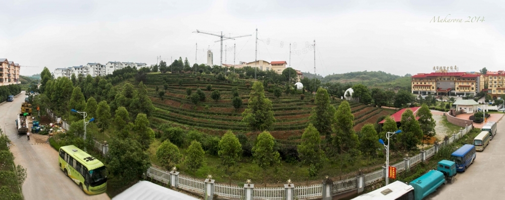 untitled_panorama1